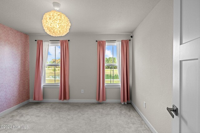 spare room featuring a textured ceiling, light colored carpet, and plenty of natural light