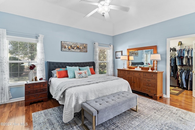 bedroom featuring ceiling fan, a walk in closet, wood-type flooring, and a closet