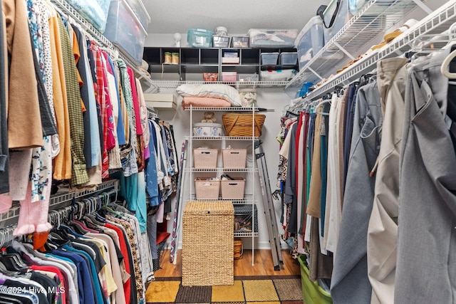 spacious closet with hardwood / wood-style floors