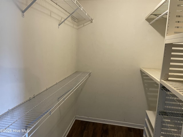 walk in closet featuring dark hardwood / wood-style floors