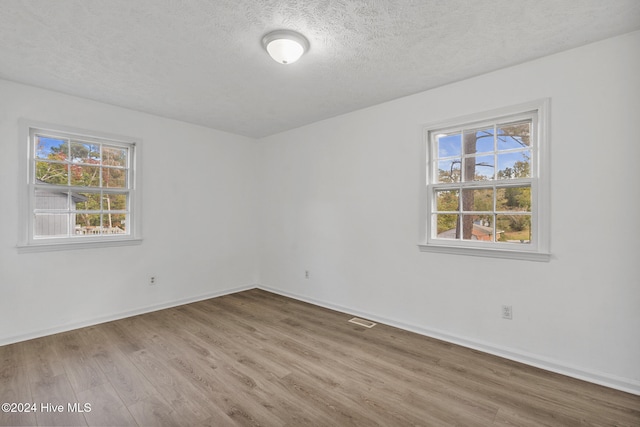 empty room featuring a healthy amount of sunlight, light hardwood / wood-style flooring, and a textured ceiling