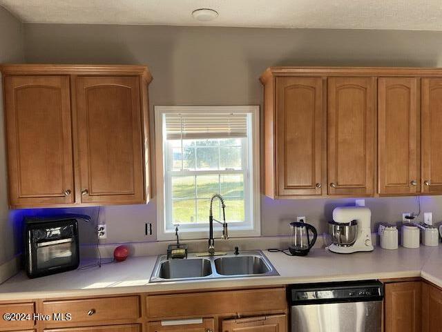 kitchen with dishwasher and sink