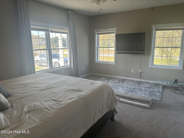 carpeted bedroom with multiple windows and a textured ceiling