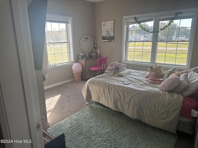 carpeted bedroom with multiple windows