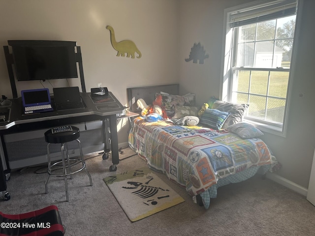 carpeted bedroom with multiple windows