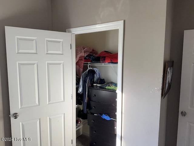 view of closet