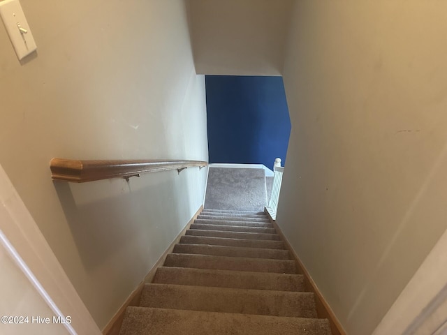 stairway featuring carpet flooring