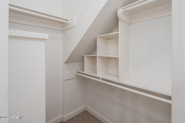 walk in closet with carpet floors