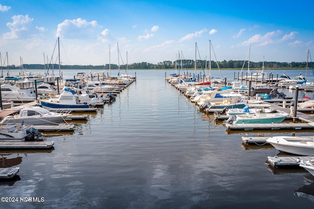 dock area featuring a water view