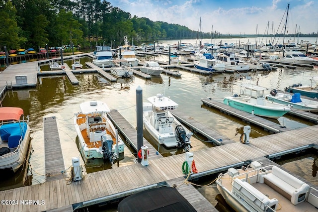 dock area with a water view