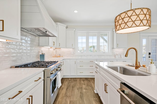 kitchen featuring stainless steel appliances, sink, tasteful backsplash, white cabinets, and premium range hood