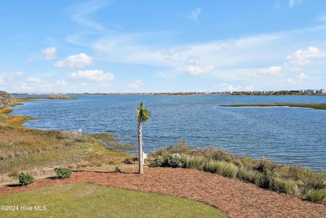 view of water feature