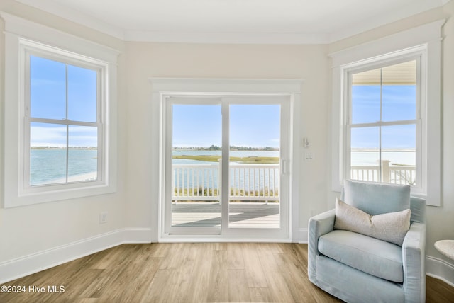 living area with a water view, light hardwood / wood-style floors, and plenty of natural light