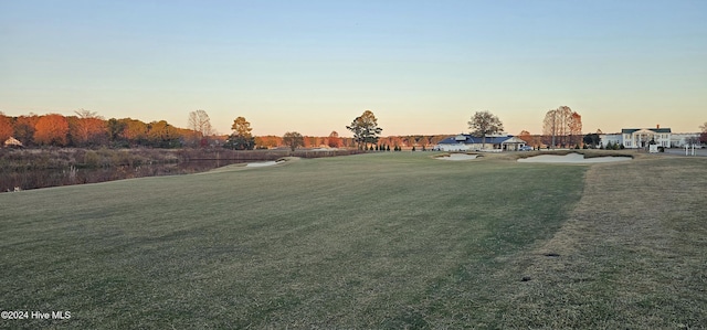 view of home's community with a yard