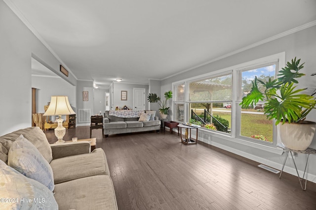 living room with plenty of natural light, dark hardwood / wood-style floors, and crown molding