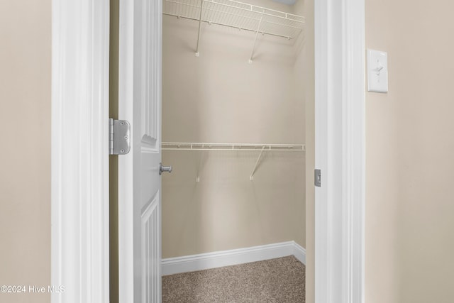 view of closet