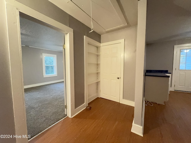 corridor featuring dark hardwood / wood-style floors