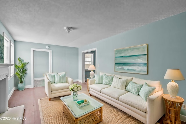 living room with a fireplace, baseboards, and wood finished floors