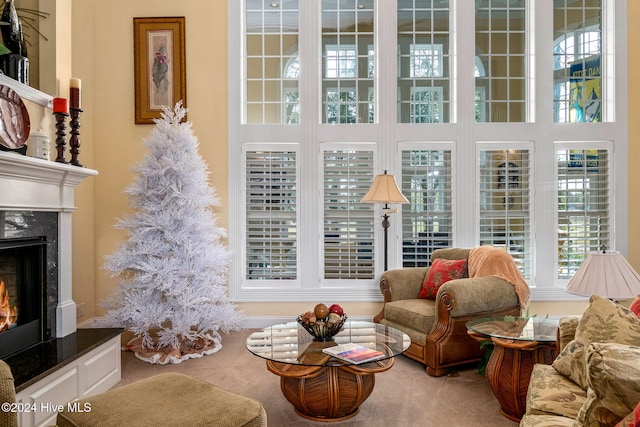 living area featuring carpet floors, a healthy amount of sunlight, and a fireplace