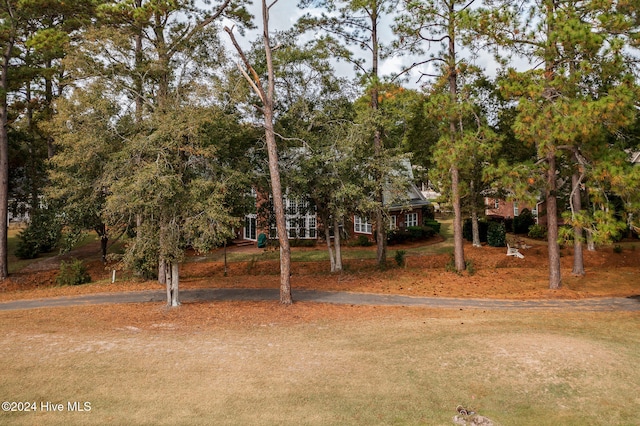 view of obstructed view of property