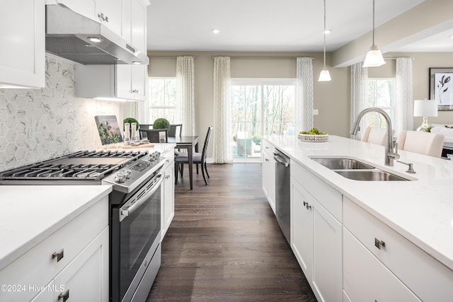 kitchen with dark hardwood / wood-style flooring, stainless steel appliances, plenty of natural light, and sink