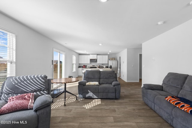 living room with wood-type flooring and a healthy amount of sunlight