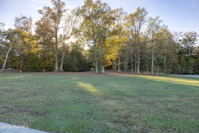 101 Knights Ct Unit 319, Merry Hill NC, 27957 land for sale