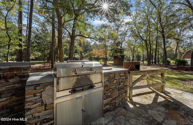 view of patio featuring grilling area and exterior kitchen