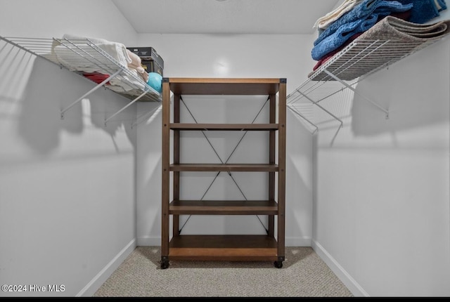 spacious closet with carpet flooring