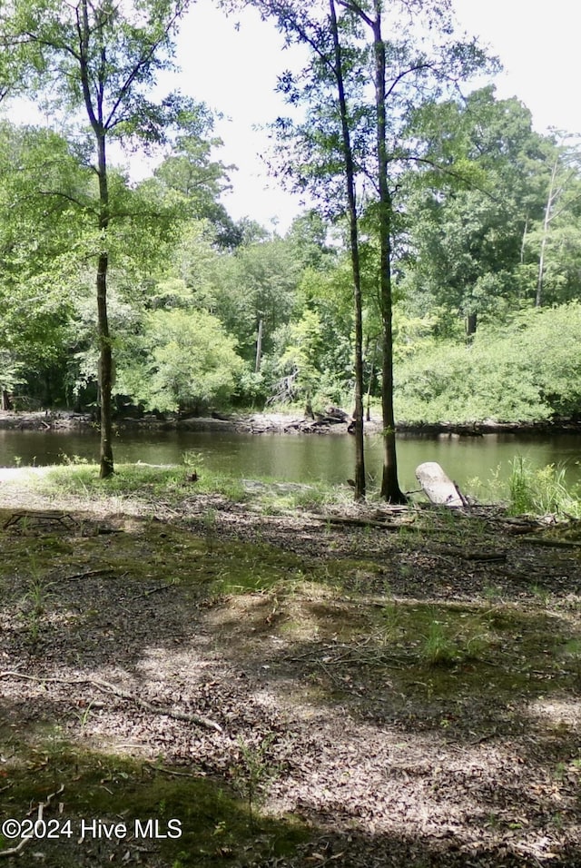 view of water feature