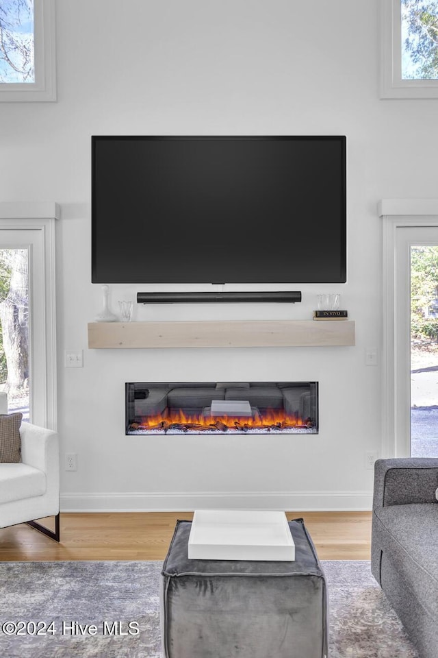 living room featuring hardwood / wood-style flooring