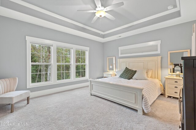 bedroom featuring carpet flooring, a tray ceiling, and ceiling fan