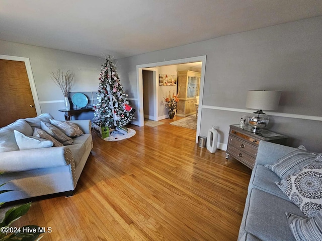 living room featuring light hardwood / wood-style floors