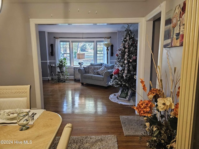 living room with dark hardwood / wood-style flooring