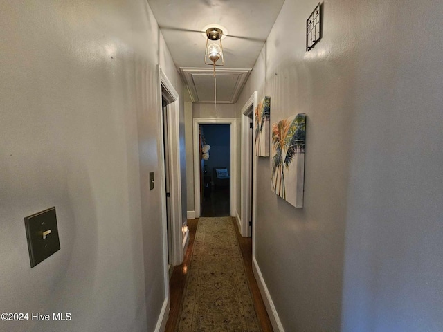 hallway featuring dark hardwood / wood-style flooring