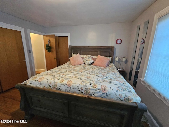 bedroom featuring wood-type flooring and a closet