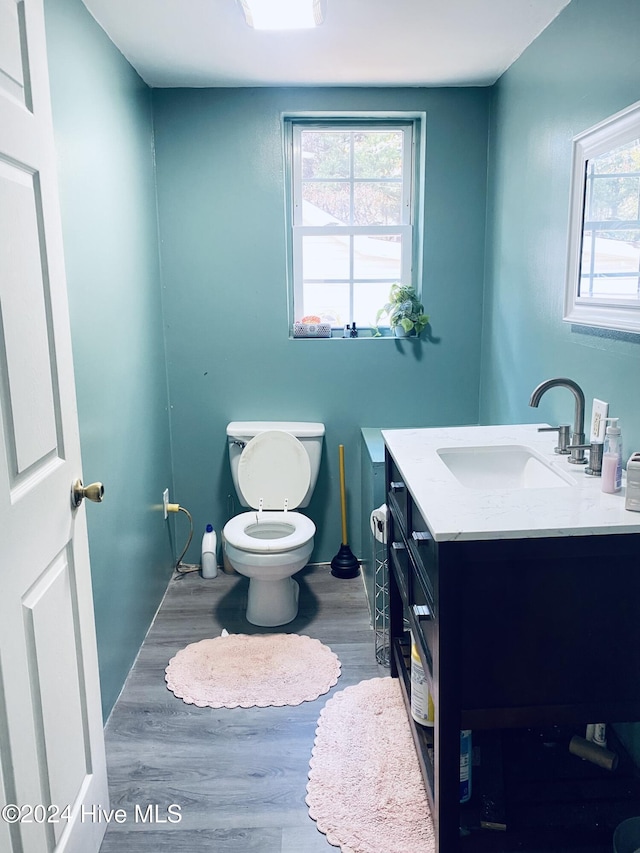 bathroom featuring a wealth of natural light, hardwood / wood-style floors, and vanity