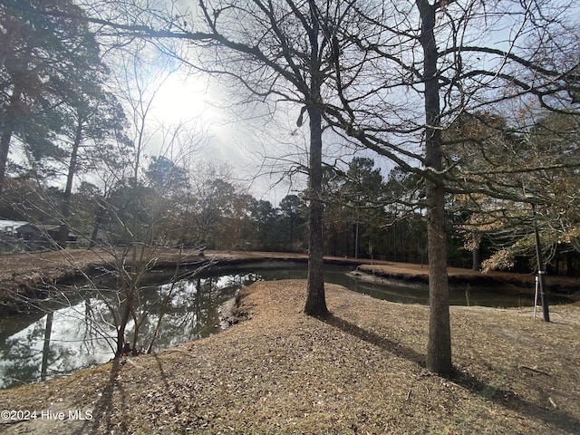 view of yard with a water view