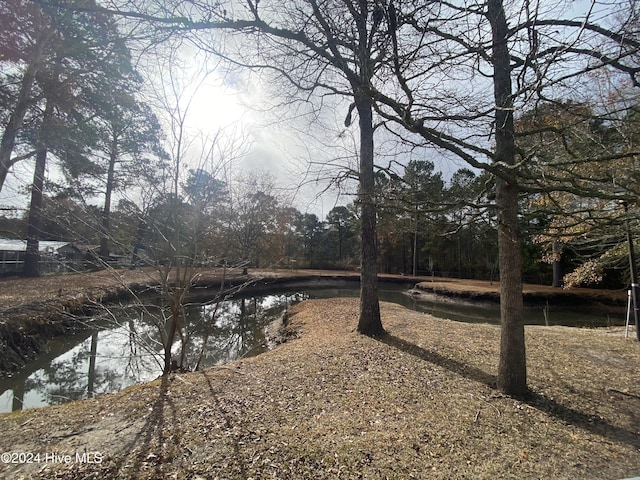 view of yard with a water view