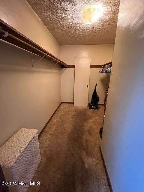 spacious closet with carpet flooring