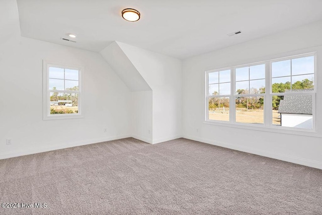 bonus room with carpet