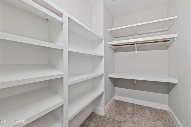 2013 E Hawthorne St, Goldsboro, NC 27530 - view of pantry
