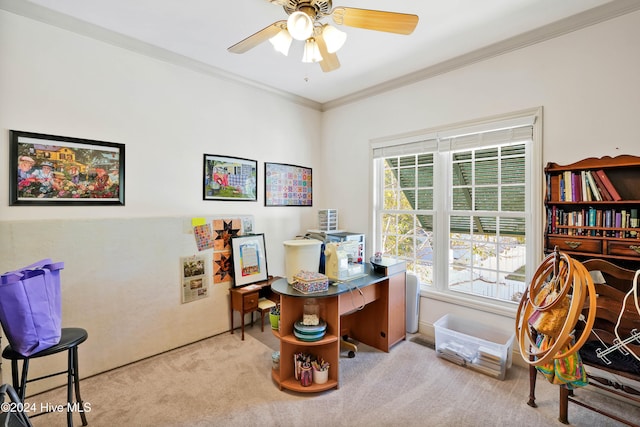 carpeted office with ceiling fan and crown molding