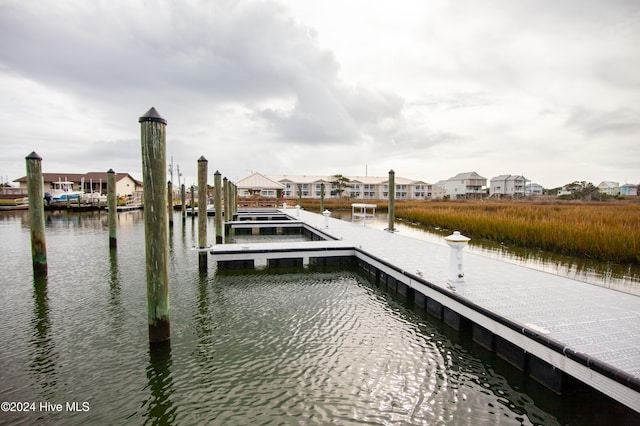 dock area with a water view