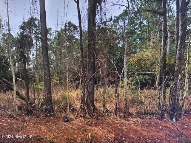 Listing photo 2 for TRACT4 Swansboro Loop Rd, Swansboro NC 28584