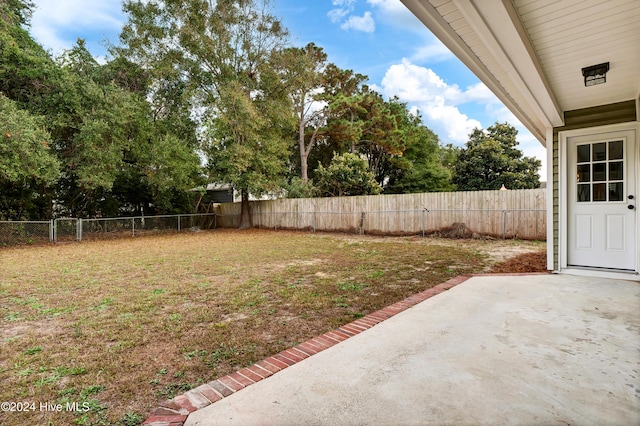 view of yard featuring a patio area