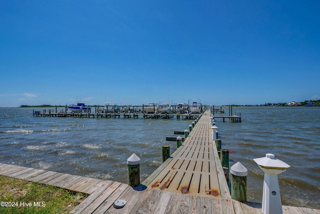 dock area with a water view