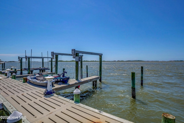 dock area with a water view