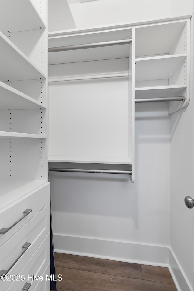 spacious closet featuring dark hardwood / wood-style flooring