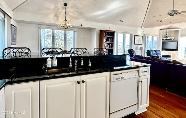 kitchen featuring white dishwasher, a healthy amount of sunlight, and a textured ceiling